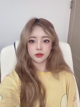 안녕상어 SOOP Live profile