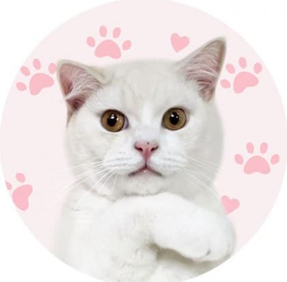 채경♡ SOOP Live profile